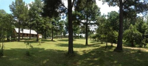 e589d482-6424-4f76-bd7e-32359290e613