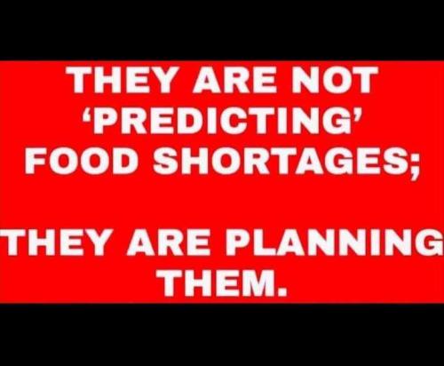 7dd7a2f8-4286-4957-b77d-9a44bfe4f0d3