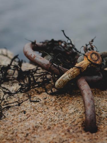 5d578c5d-95c8-477c-b921-1896ada75c20