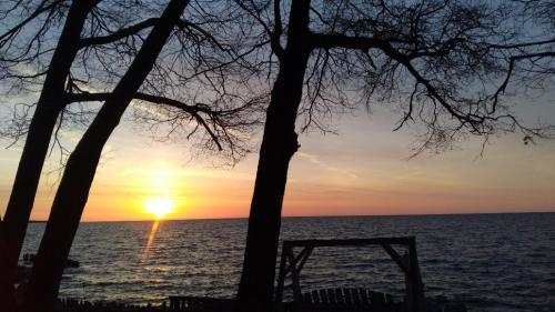 189cf1b9-12f6-4c10-8976-92b9fe1fda62