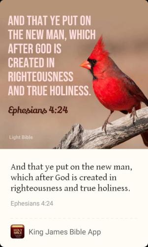 243ca44c-2015-4a9c-af62-4eccc595572a