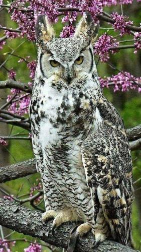 284355028_5136750236418976_1855196474450535494_n