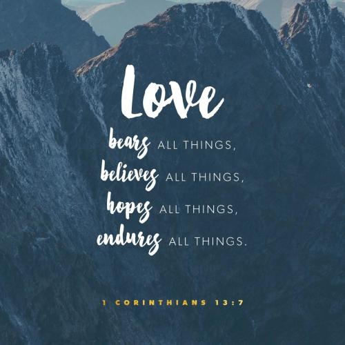 d099719c-3b20-4326-9c82-c8756d9a8a30