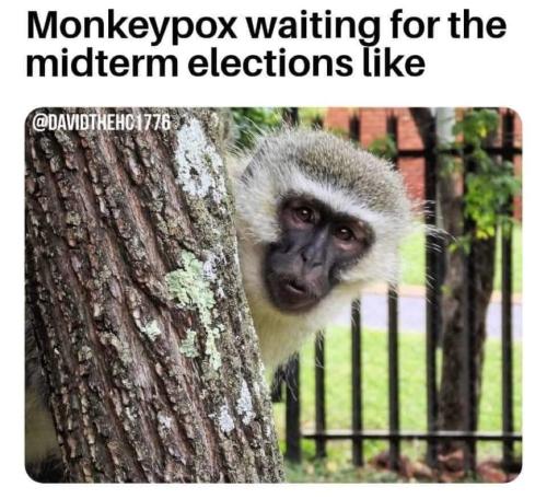 FB_IMG_1653330743398