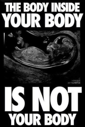 65095acb-b0af-4bac-a420-2328927bc4ab