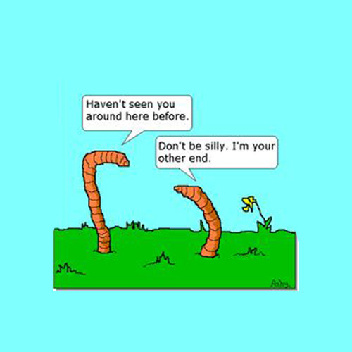 279710983_10160087920529919_5455994782064323372_n