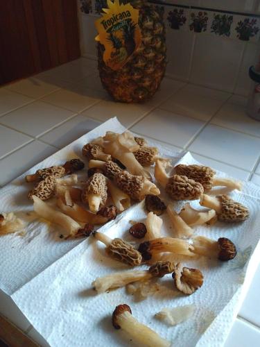 27658edd-6ed3-4882-b199-efa85023b824