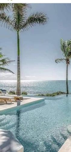 Phone Sized Clearwater Palm Beach