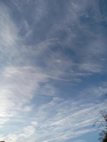 f3237f1a-b844-4388-bded-aa3e1c452bd2