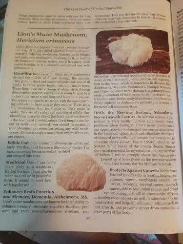 78ccd8fc-3c4f-4351-986f-dc325986ea28