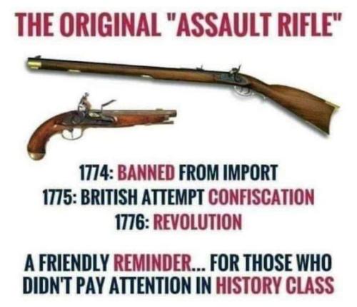 the original assault weapons00