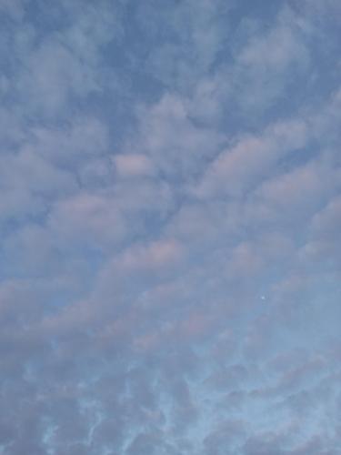 f4b2970c-b009-4fba-bc6c-359fe5207b5a