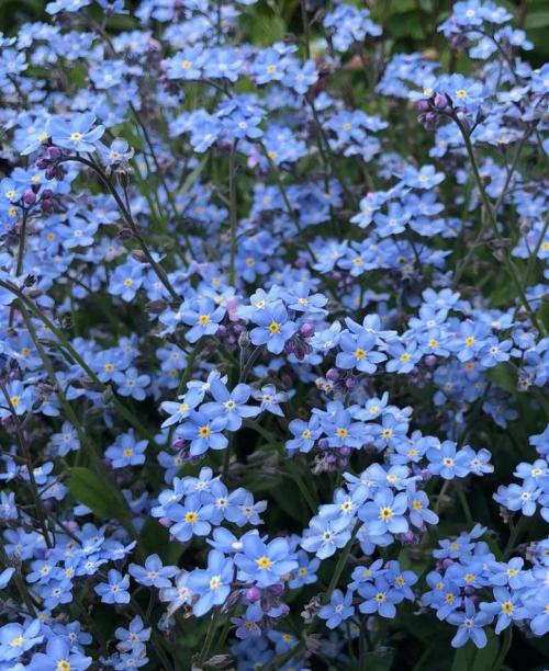 450c3964-4971-4bd8-bdfa-958f74278816