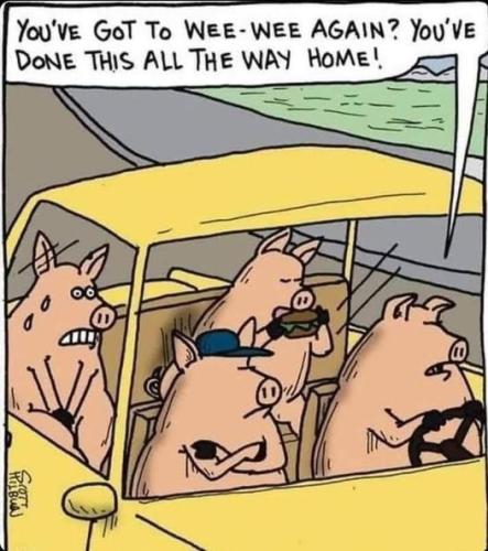 282406683_5294529327256699_143683228815261144_n