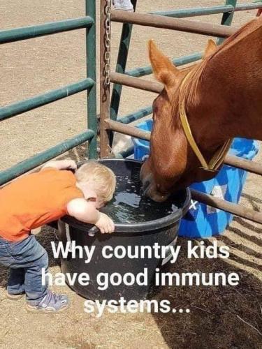 2C46AC7C-0300-4E39-8CD6-AC68AE758740