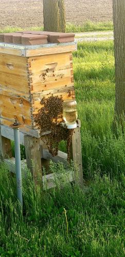 085a44d9-386d-481c-b13b-071352fb5d0a