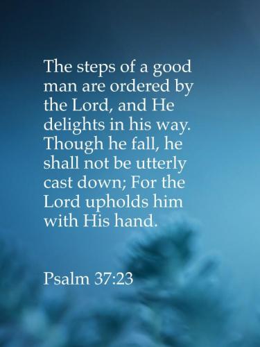 408a797f-2916-47ff-88a8-49aec599d48b