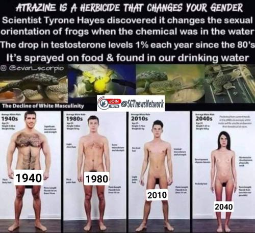 photo_2022-05-25_06-12-49