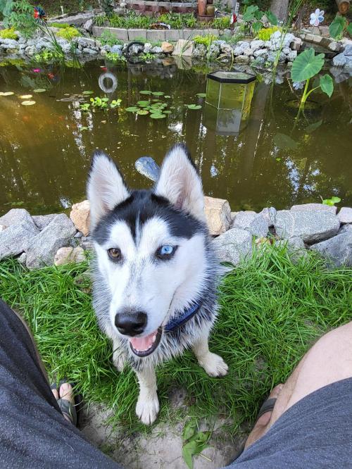 fadcb568-8c91-4e29-ab5f-3deba795e27a