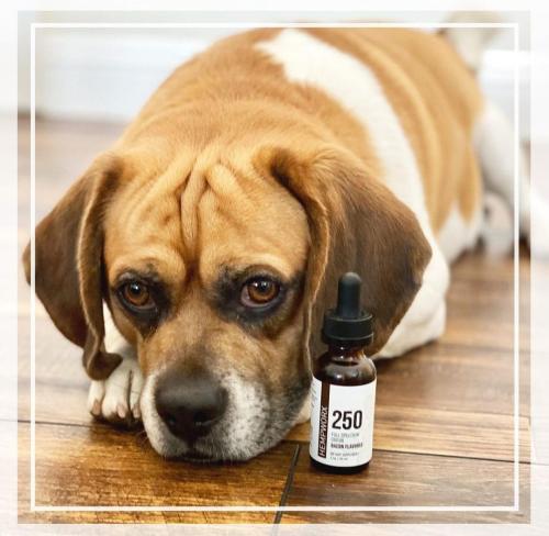 80c41511-3f80-4c92-89e0-faaf181685b8