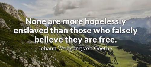 7060ff63-f6c8-49e5-a6a9-6d5fede9b019