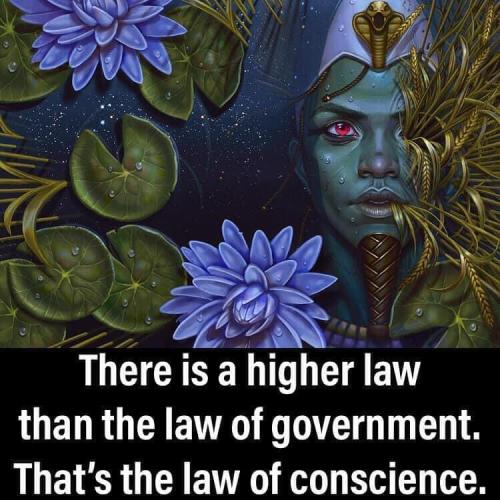 law of conscience me