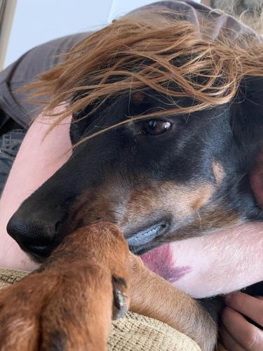 14:08:00 GMT-0700 (PDT).image