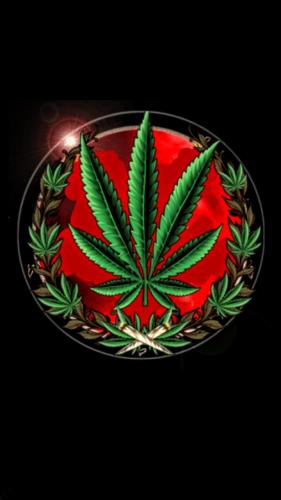 ad42f265-3aea-4a06-961e-e0d39c7ae6dd