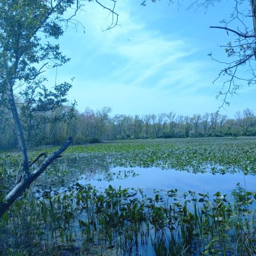 5f96bbc7-4d18-408d-8d39-9e990d4b8c00