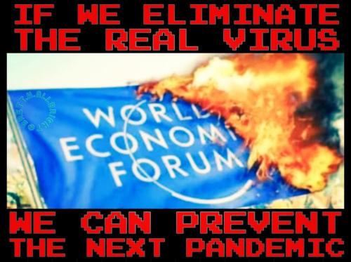 Real Virus 1