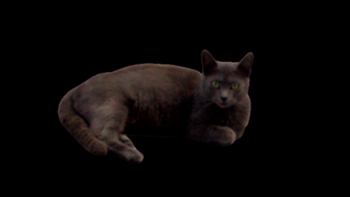 Snapshot 1 (5-22-2022 8-01 AM)