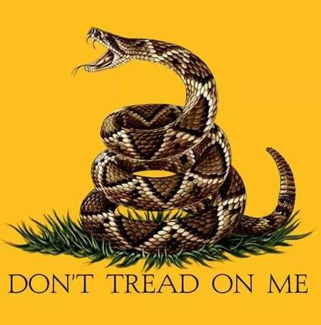 281573156_10222055655405905_1584460797495444656_n