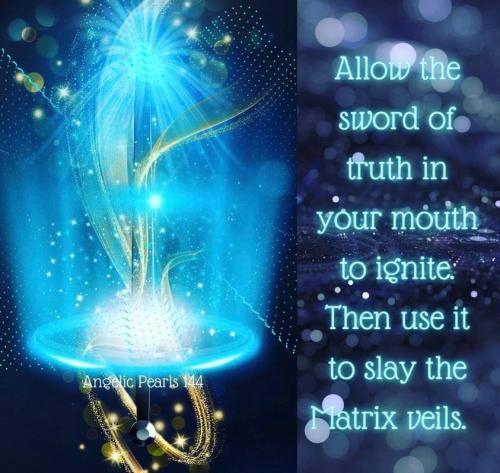 ,                                                                                                                                                                                                                          0 0