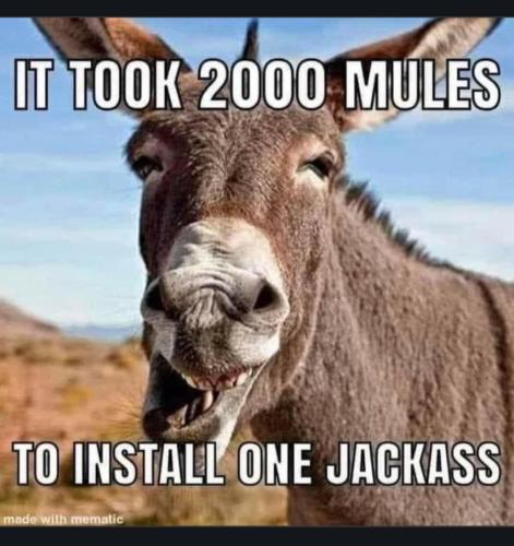 a15a23ad-3e42-4438-9606-aa40d6018b58