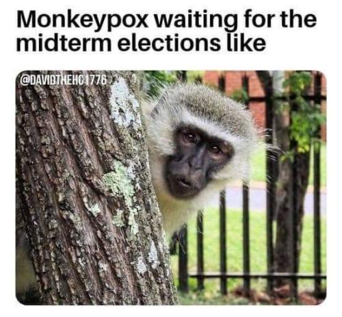 FB_IMG_1653349726649