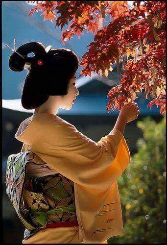 283587505_367454332026671_3665622299245959765_n