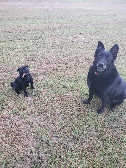 fd8ad080-94d2-4454-b981-850a88cb7786