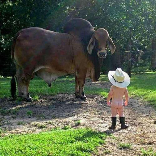 79fa75df-ea81-42f0-85aa-9e9ef33e2190