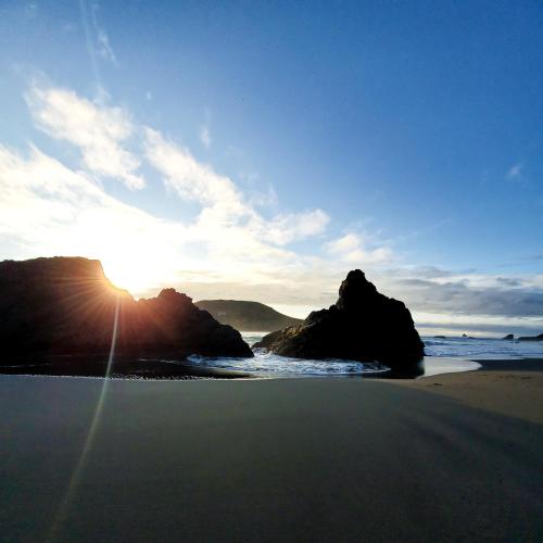 c3ad6423-03b3-43c5-8986-690143ac770e