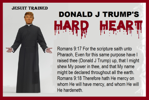 278985161_323341089890528_2796514937818368256_n