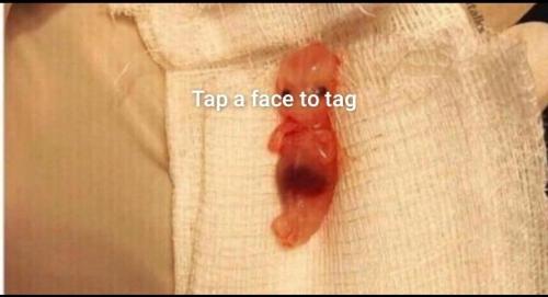 9818ee30-610e-4530-aa69-020fa175d270