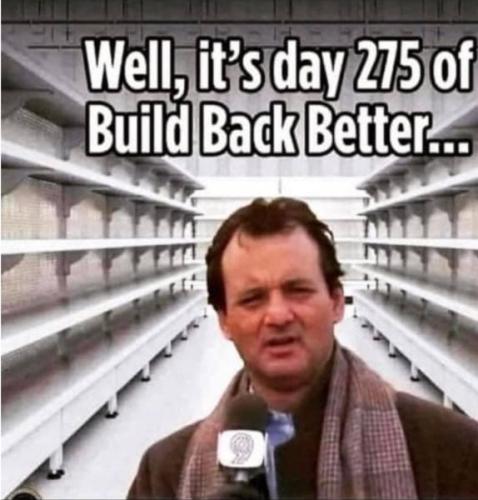 Day275OfBuildBackBetter