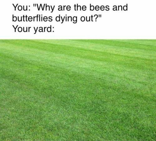 f011b4d09afd64b9