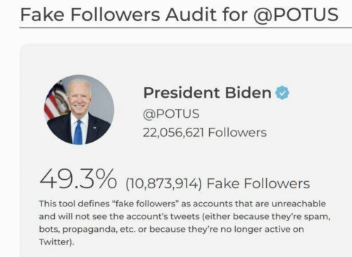 Ballots and bots - fake everything