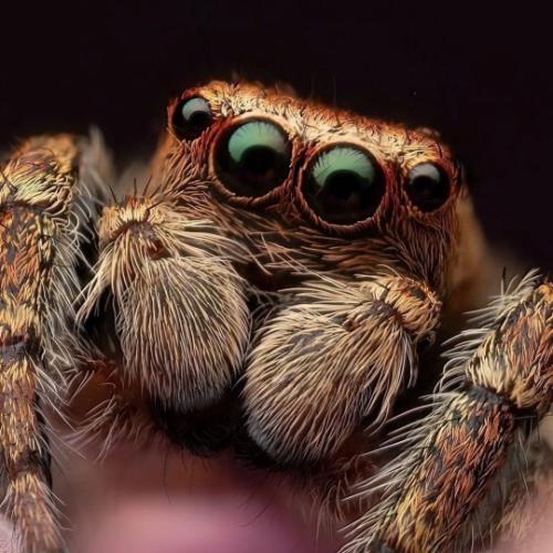 tumblr_9a8b7ea44569966324ffe371a068fd6b_93d86cdc_540