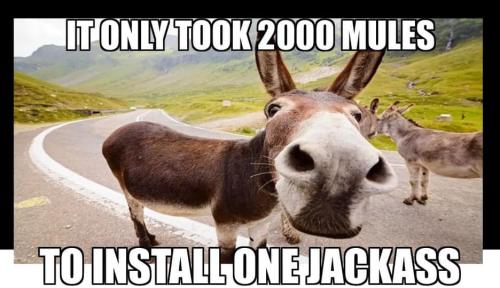 280551619_525826272498777_2524010991155409542_n