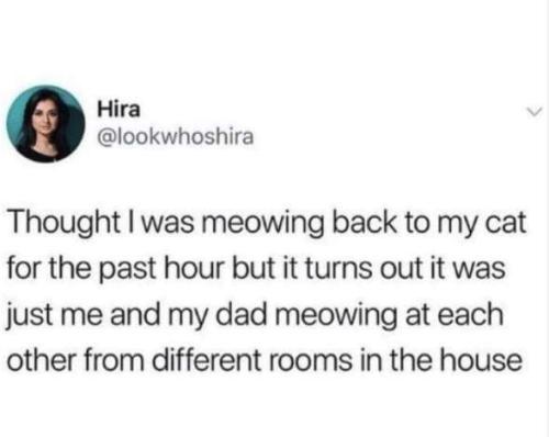 769f3811-97f2-4164-8f72-e1af3814309d