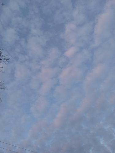 db6f0afe-db89-4e80-854f-5eef1f80be37