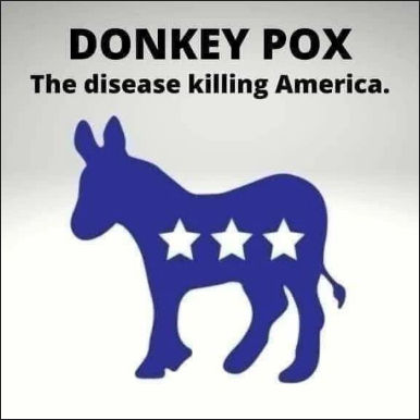 monkeypox16