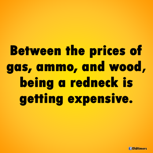 187581119_1548934862117761_6997147461975099764_n